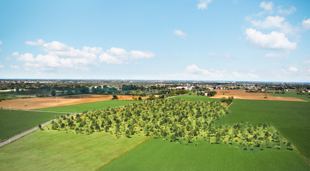 Bosco del Mulino - Agugiaro & Figna