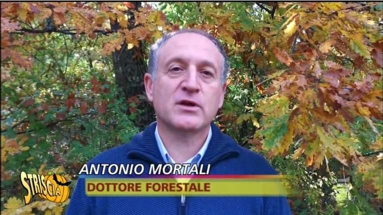 KilometroVerdeParma - Striscia La Notizia - Antonio Mortali