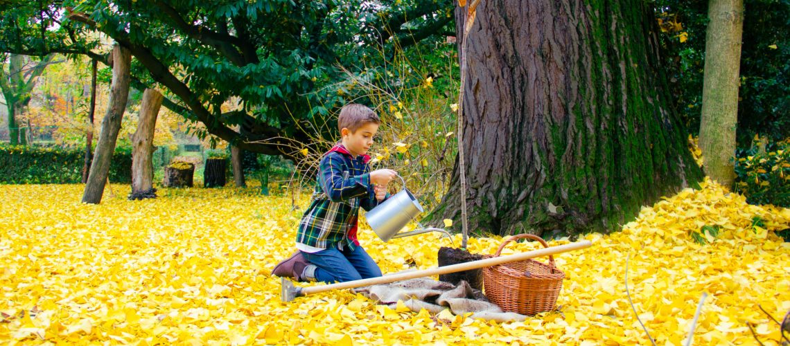 REGALA ALBERO PER IL DOMANI