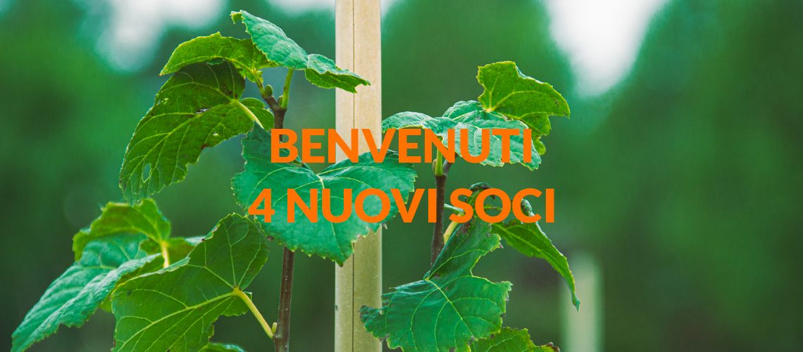 4-nuovi-soci