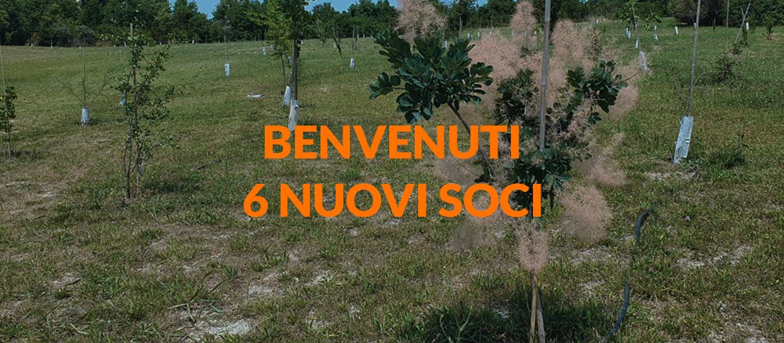 6-NUOVI-SOCI