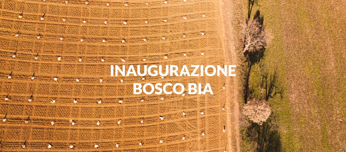 INAUGURAZIONE BIA