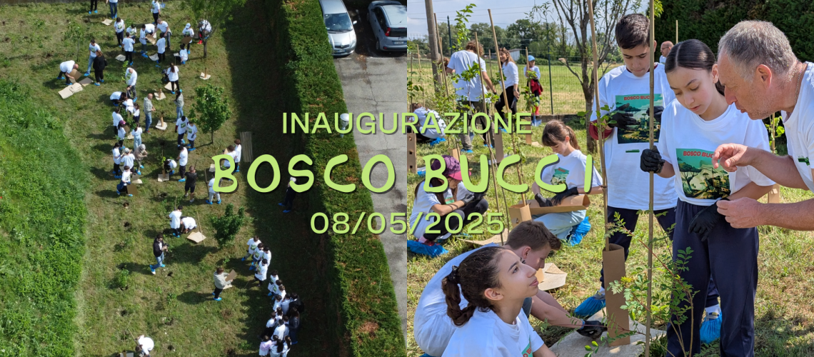 News sito_Bucci