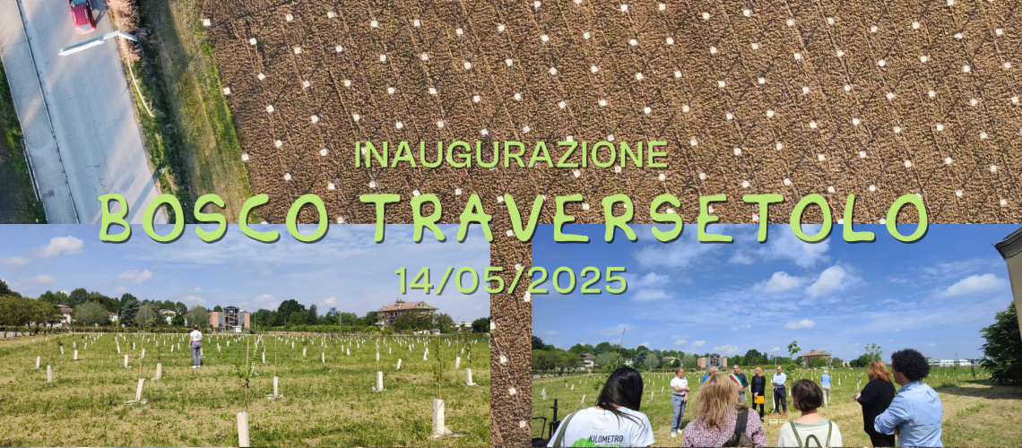 News sito_Traversetolo
