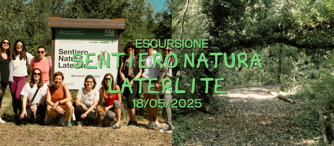 News sito_laterlite