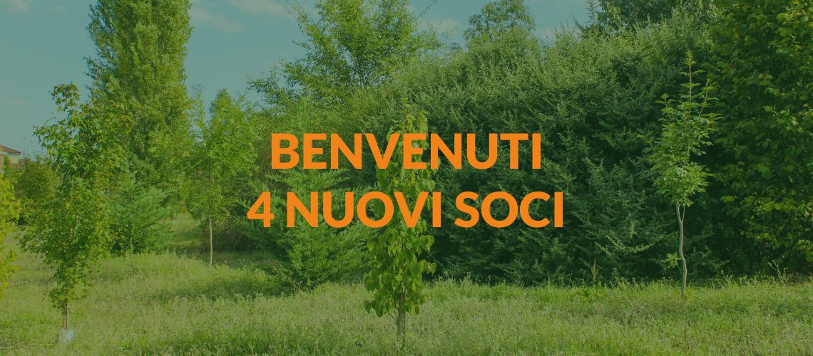 news sito - benvenuti 4 nuovi