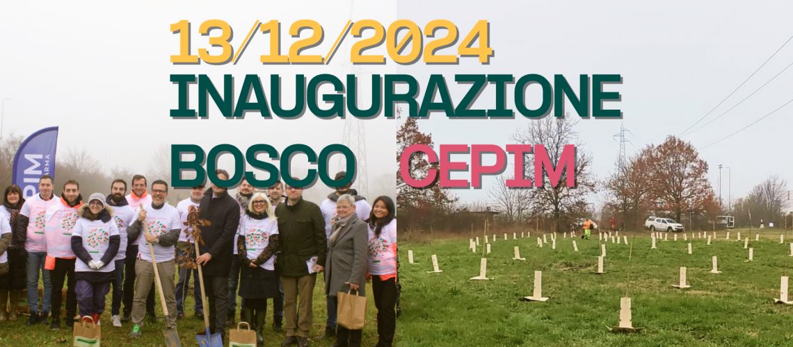 news sito cepim