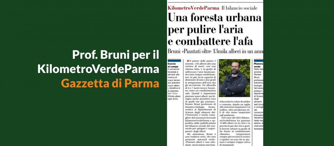 news sito gazzetta - bruni